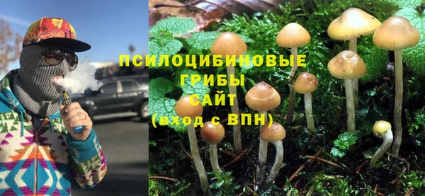 амф Няндома